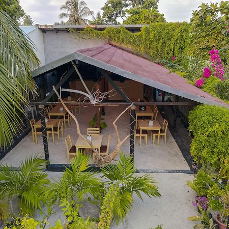 Turtle Maldives - Your Gateway To The Beach & Marine Adventures Await! Omadhoo Eksteriør billede