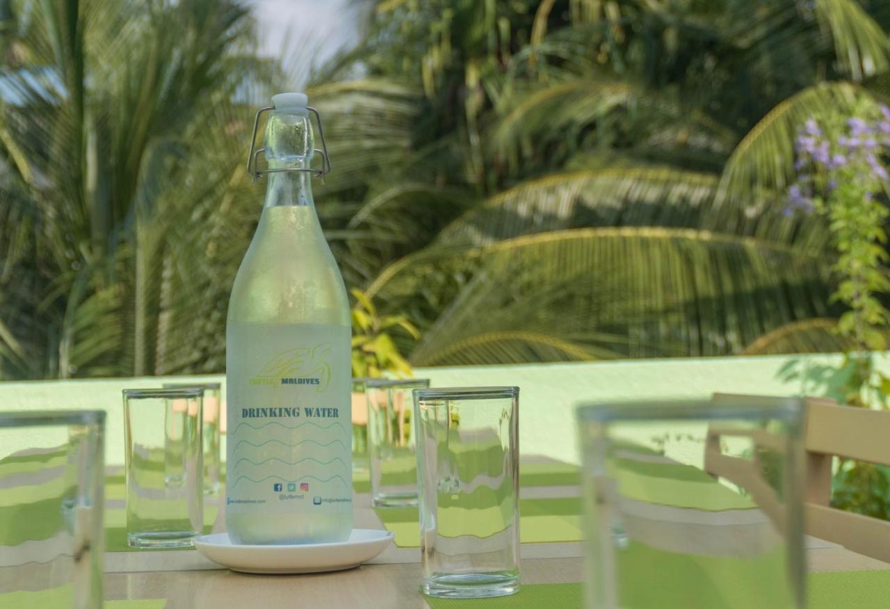 Turtle Maldives - Your Gateway To The Beach & Marine Adventures Await! Omadhoo Eksteriør billede