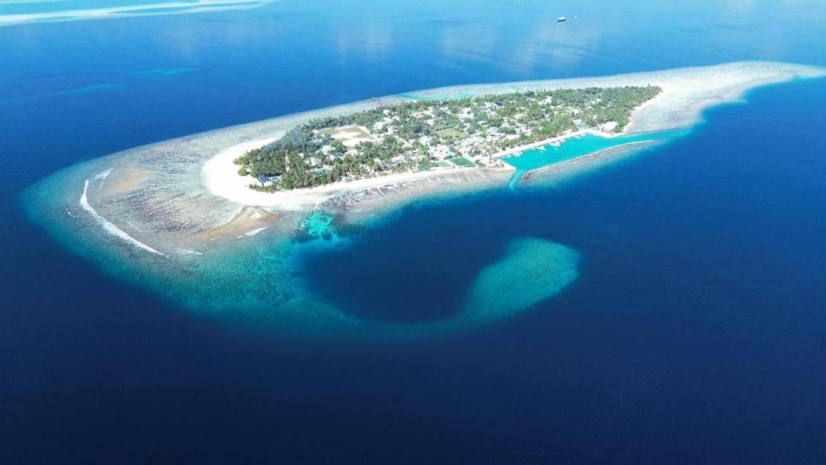 Turtle Maldives - Your Gateway To The Beach & Marine Adventures Await! Omadhoo Eksteriør billede