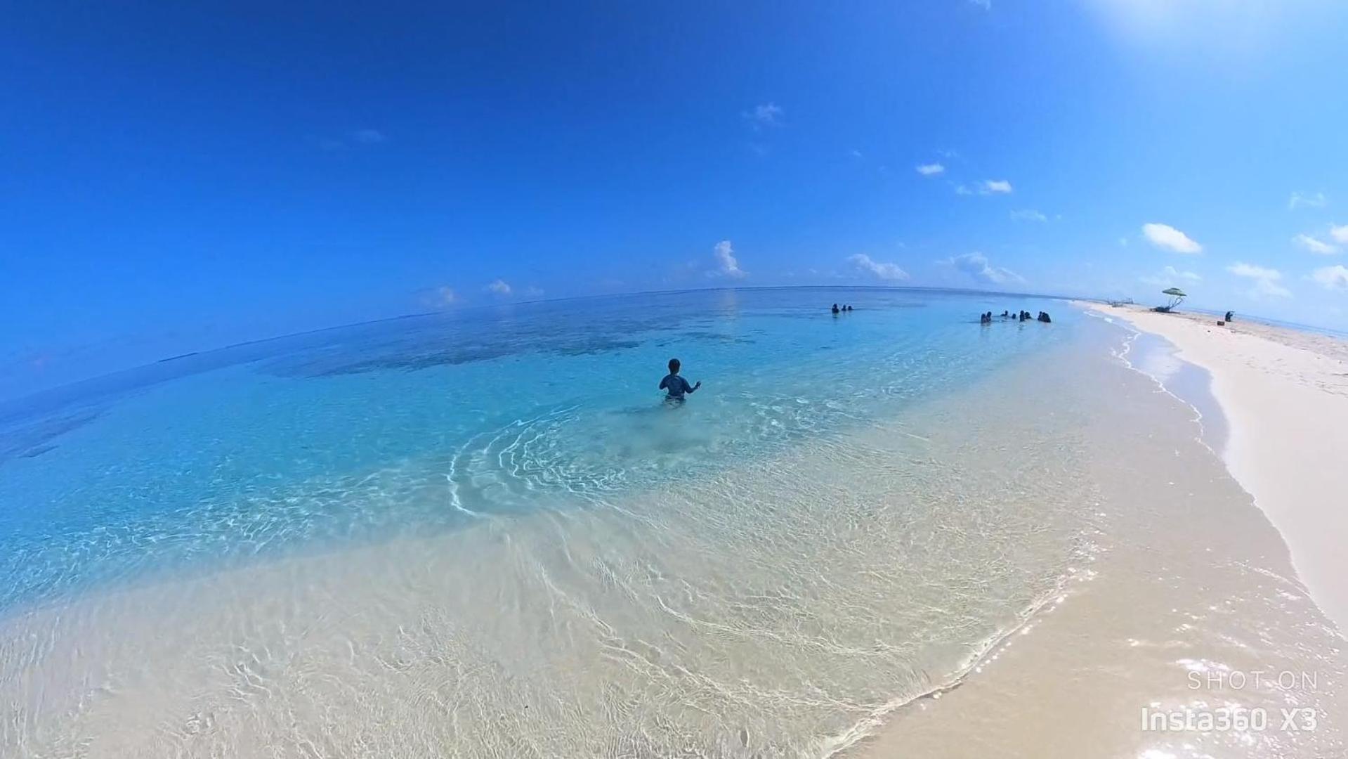 Turtle Maldives - Your Gateway To The Beach & Marine Adventures Await! Omadhoo Eksteriør billede