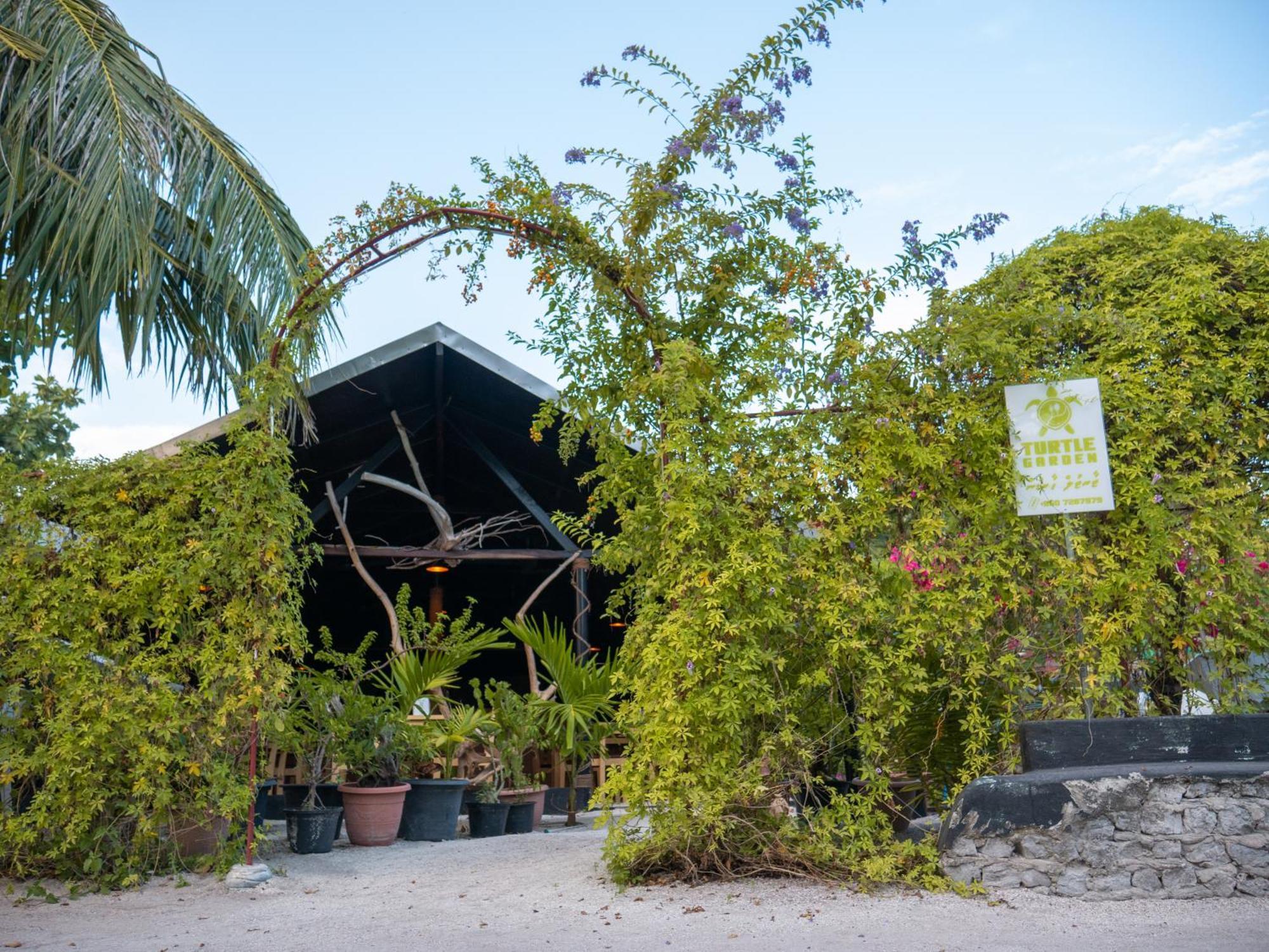 Turtle Maldives - Your Gateway To The Beach & Marine Adventures Await! Omadhoo Eksteriør billede