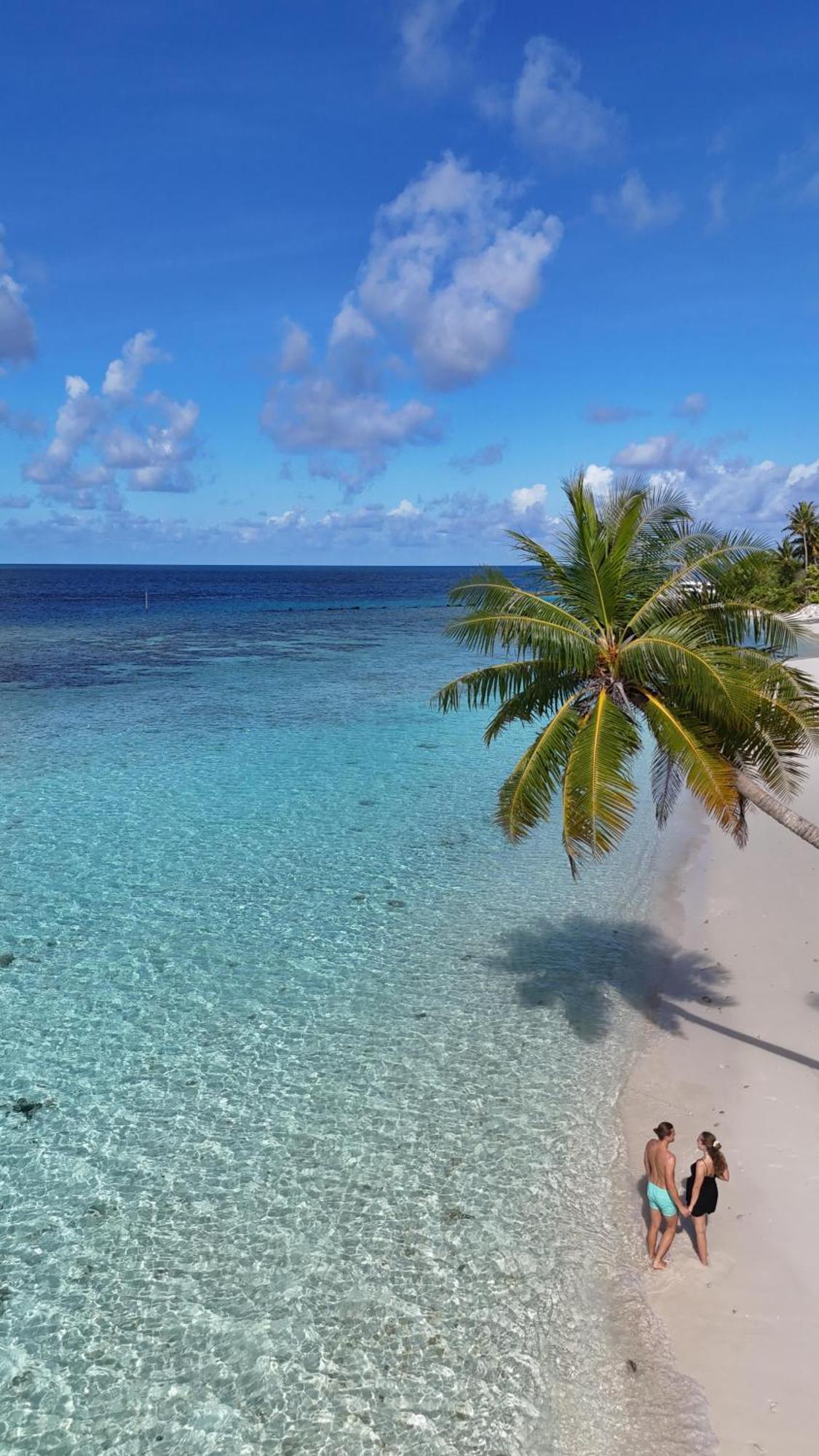 Turtle Maldives - Your Gateway To The Beach & Marine Adventures Await! Omadhoo Eksteriør billede