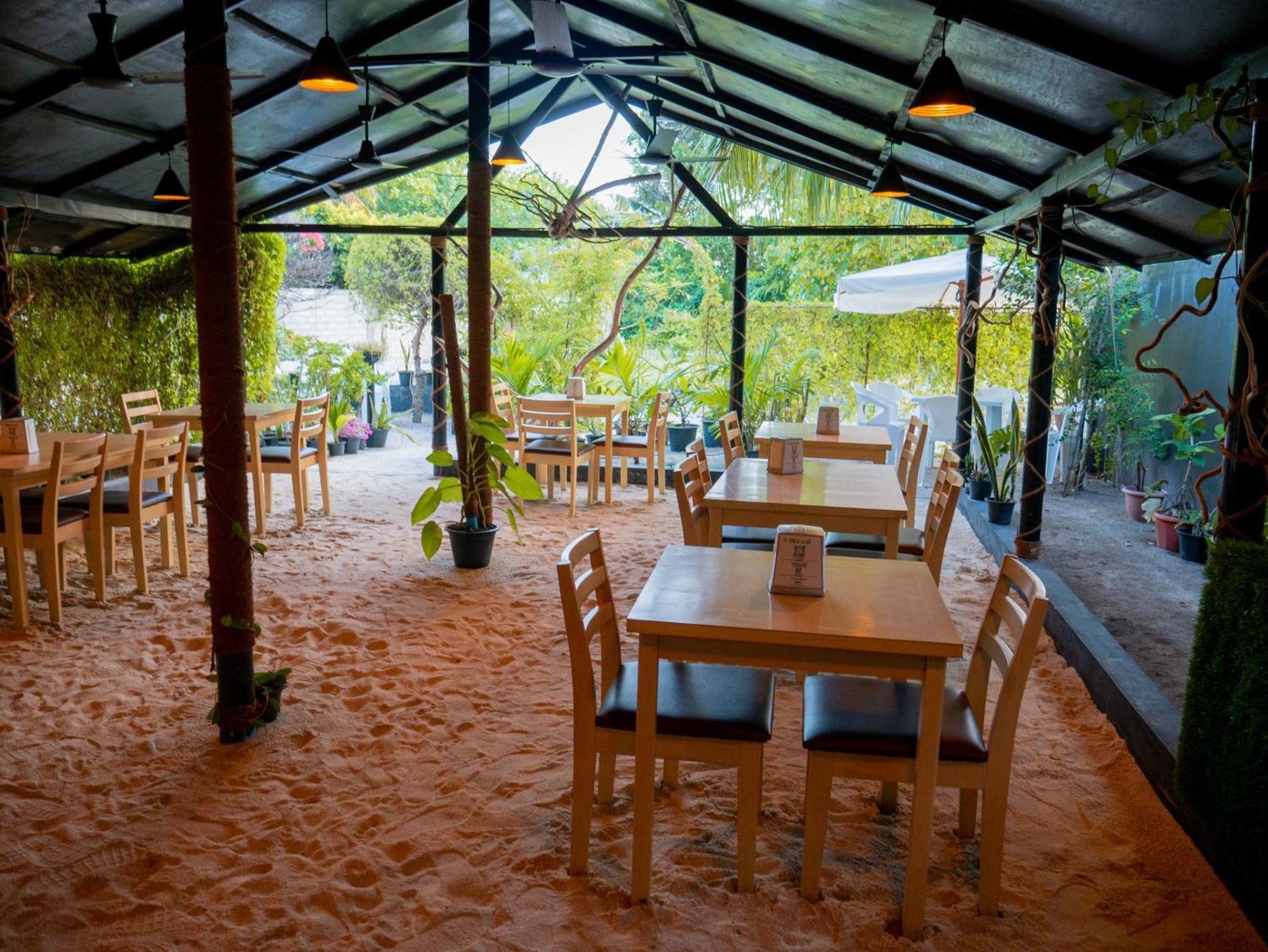 Turtle Maldives - Your Gateway To The Beach & Marine Adventures Await! Omadhoo Eksteriør billede