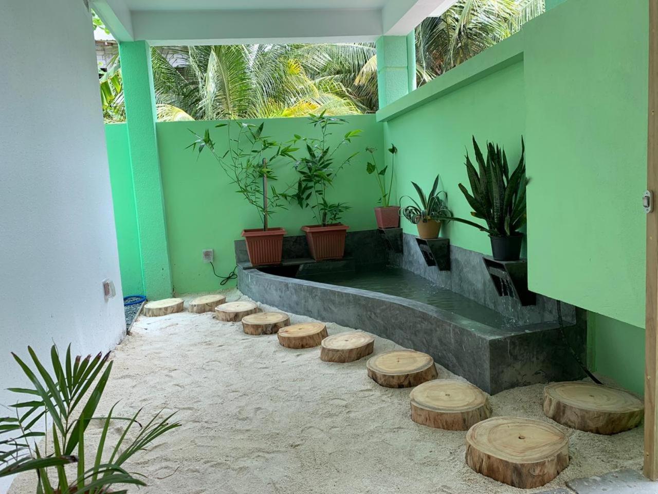 Turtle Maldives - Your Gateway To The Beach & Marine Adventures Await! Omadhoo Eksteriør billede