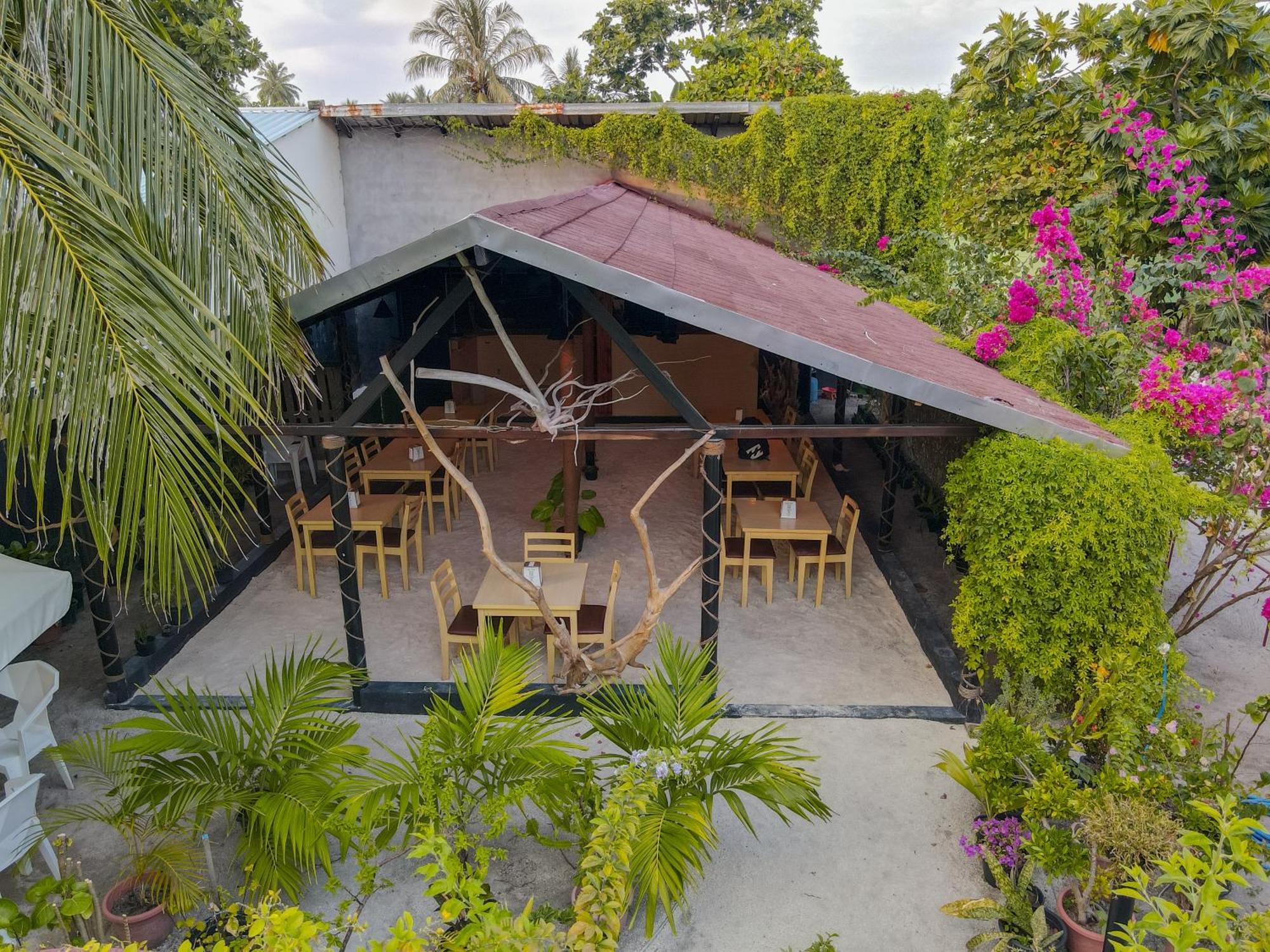 Turtle Maldives - Your Gateway To The Beach & Marine Adventures Await! Omadhoo Eksteriør billede