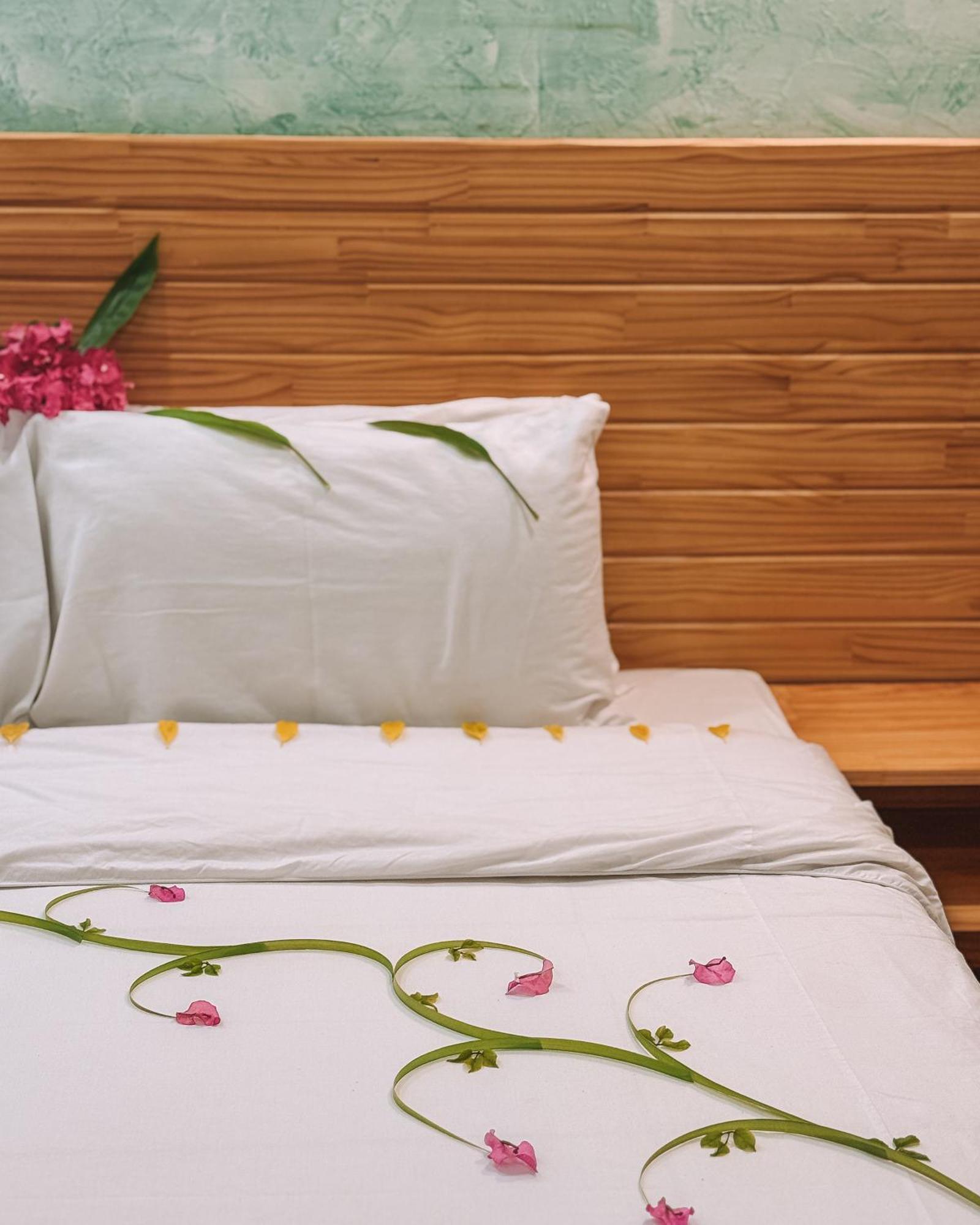 Turtle Maldives - Your Gateway To The Beach & Marine Adventures Await! Omadhoo Værelse billede
