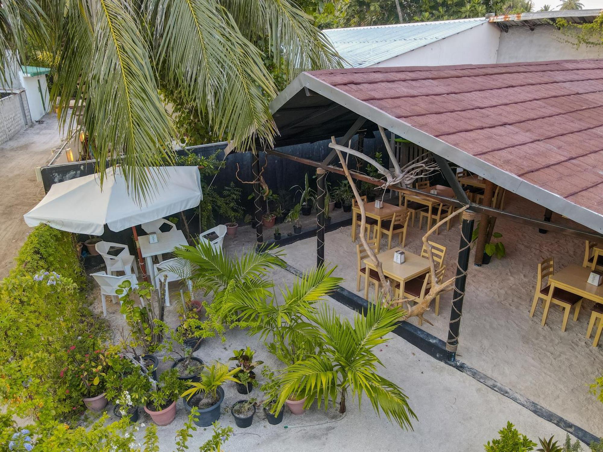 Turtle Maldives - Your Gateway To The Beach & Marine Adventures Await! Omadhoo Eksteriør billede